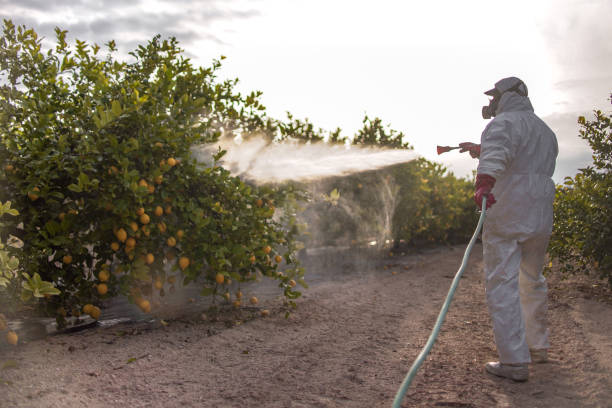 Best Commercial Pest Control Services  in Valparaiso, FL